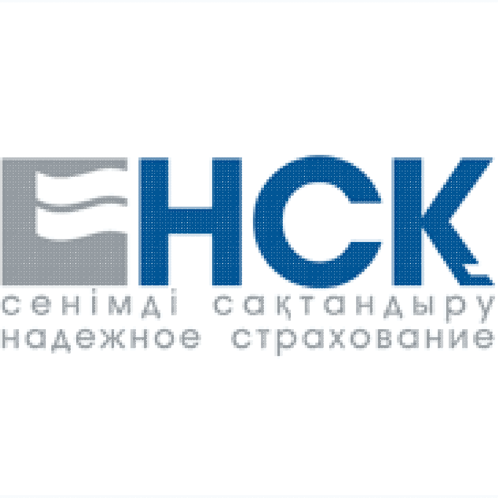 АО НЕФТЯНАЯ СТРАХОВАЯ КОМПАНИЯ