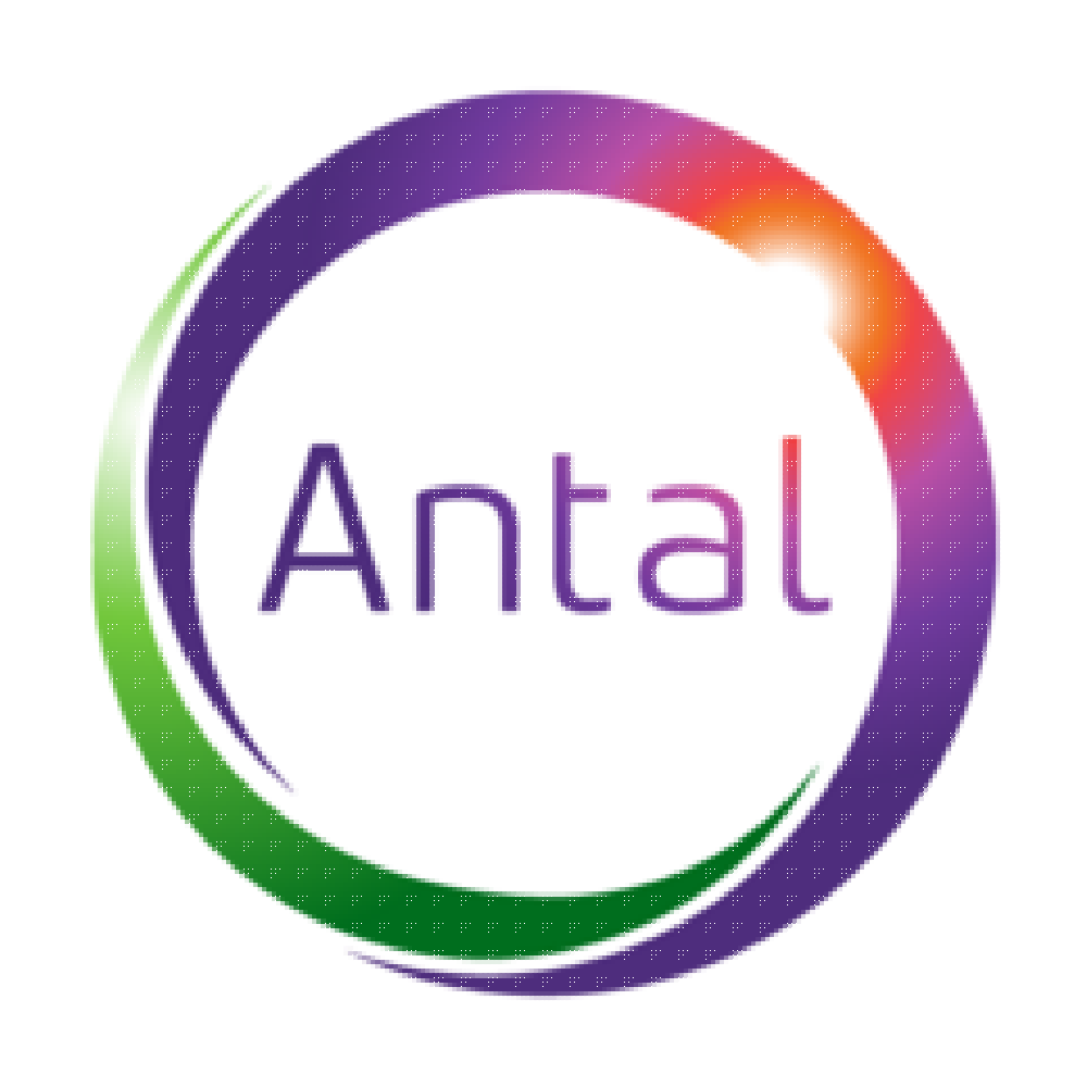 ТОО АНТАЛ БИЗНЕС РЕШЕНИЯ (ТМ Antal Kazakhstan)